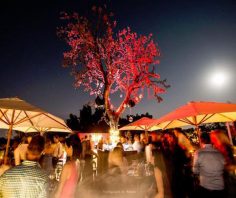 Top 5 most luxurious bars in Johannesburg