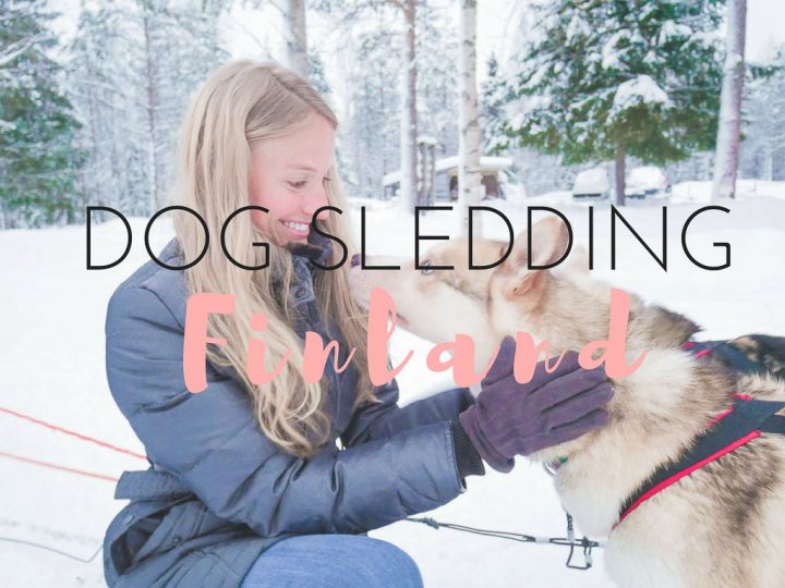 Husky Love: Dog Sledding in Finland (SO Amazing!)