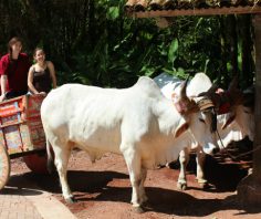 Under the radar day-trips in Costa Rica