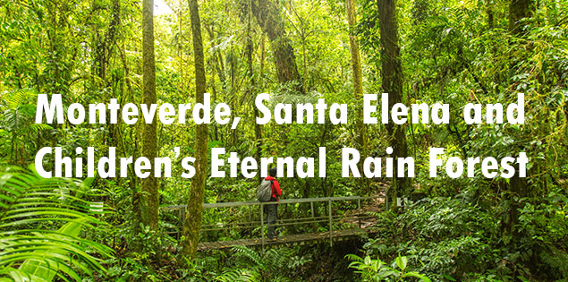 Which Monteverde Cloud Forest Should You Visit? A Look at Children’s Eternal Rain Forest, Monteverde and Santa Elena Cloud Forest Reserve