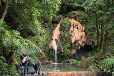 Crater Lakes and Thermal Baths on São Miguel Island