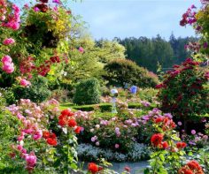 Springtime and flowers: gardens to visit in North America