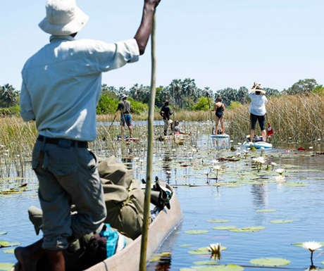 7 alternative safaris to take you off the beaten track