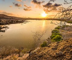 Planning your trip to the Galapagos