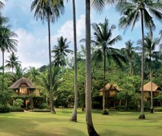 The world’s best jungle resorts