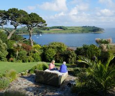 Special feature: Stargazers, St. Mawes, Cornwall, UK