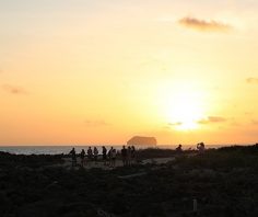 Top tips for travel in the Galapagos