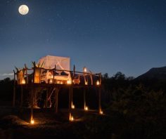 10 of the best star bed experiences in Africa