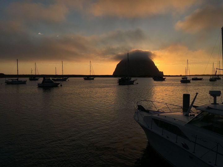 In Search Of Life In Morro Bay