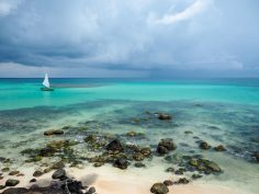 Is It Too Much to Ask?