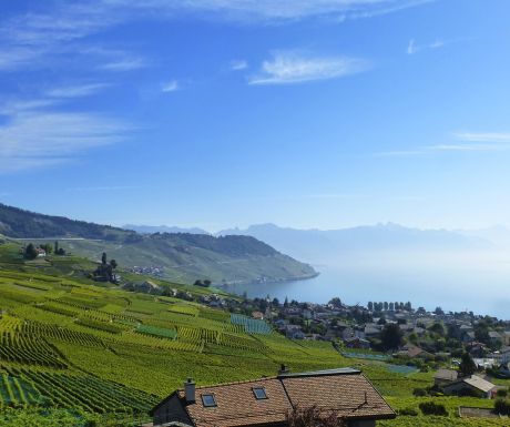 4 pleasant short trips around Lake Geneva