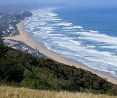 Traveling through the natural garden of South Africa