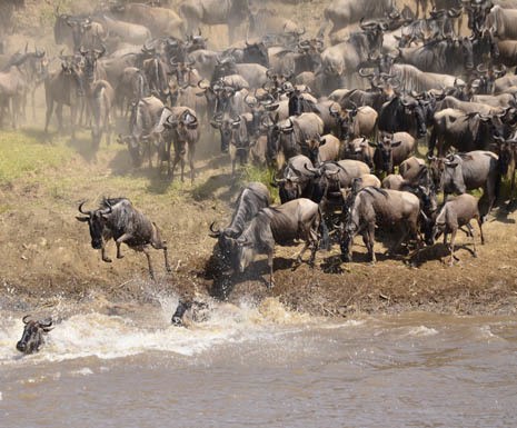 October in the Masai Mara