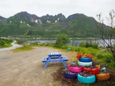 Northern Norway Road Trip Itinerary (with Lofoten Islands Alternatives)