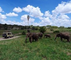 Tanzania: the perfect honeymoon – A Luxury Travel Blog : A Luxury Travel Blog