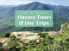 The 4 Best Oaxaca Tours and Day Trips