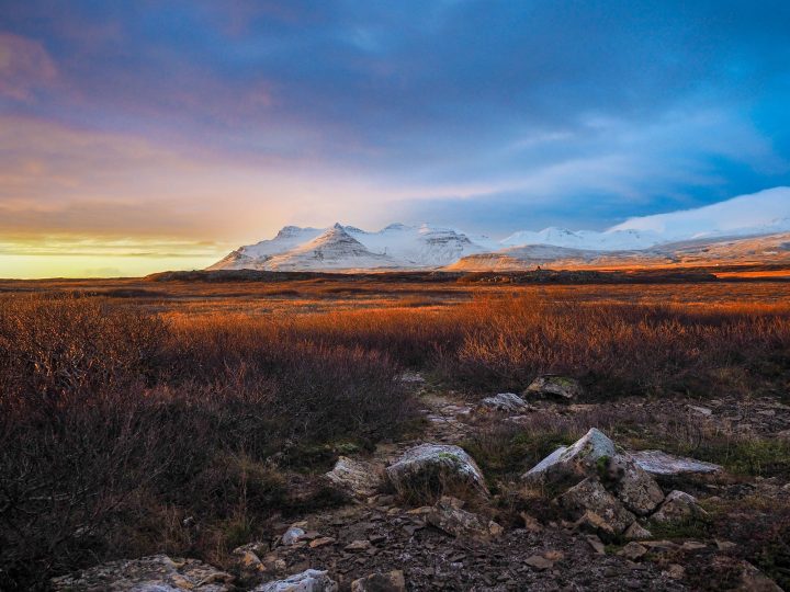 12 Crazy But Cool Things You Can See When You Visit Iceland