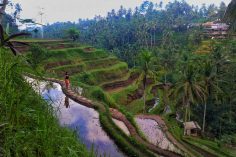 1 Week Indonesia Itinerary: How to Make the Most Of Your Trip