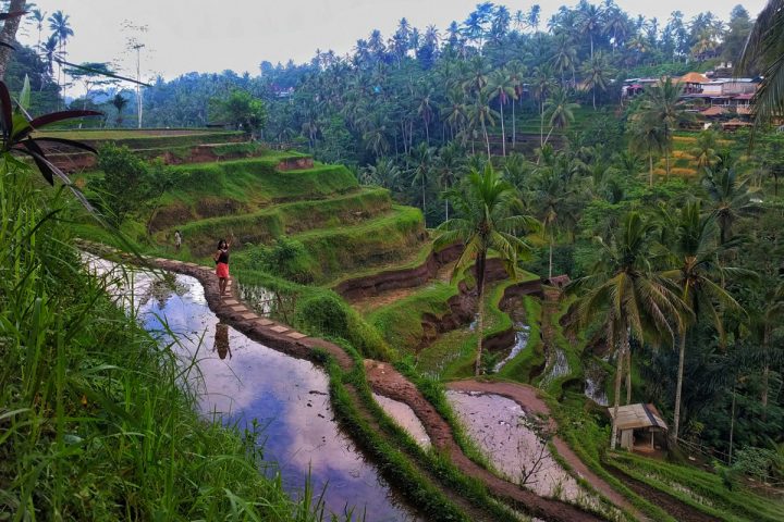 1 Week Indonesia Itinerary: How to Make the Most Of Your Trip