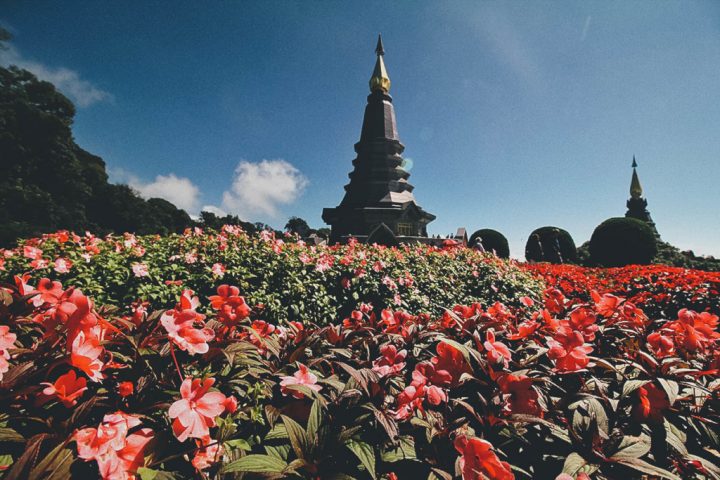 Spend the Day on Doi Inthanon, Thailand’s Highest Mountain