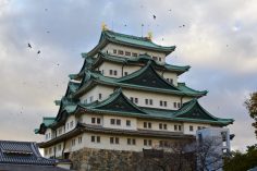 Things to Do in Nagoya: Japan’s Incredible Nagoya Castle