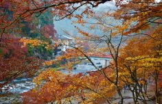 Autumn in Japan: The Colorful Town of Asuke