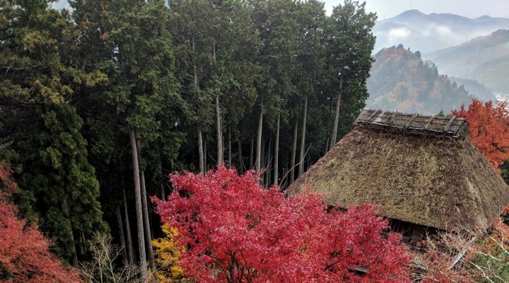 The Best of Autumn in Japan – Where to Go & What to Do