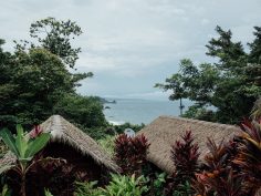 Red Frog Beach Resort Review, Bocas Del Toro