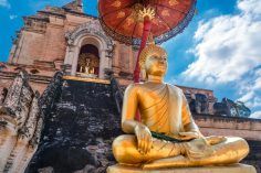 6 Essential Things To Do In Chiang Mai