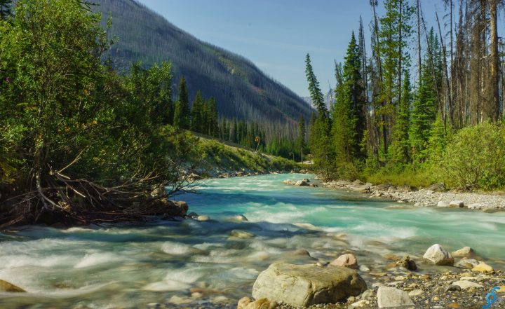 Backpacking in Canada: 7 Destinations Worth the Trip