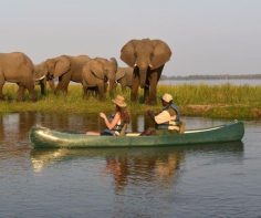 See Africa from a different perspective on a boat based safari