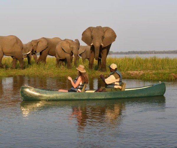 See Africa from a different perspective on a boat based safari