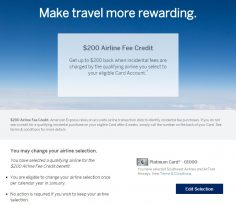 Time to use your Amex Airline Fee credits once again!