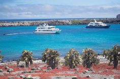 What to Pack for a Trip to the Galapagos Islands • Ordinary Traveler