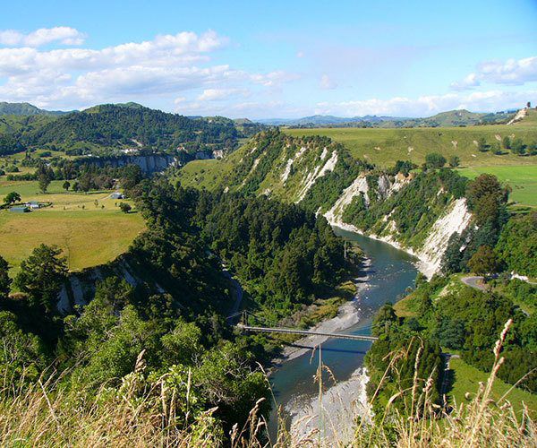 Authentic New Zealand… true to life