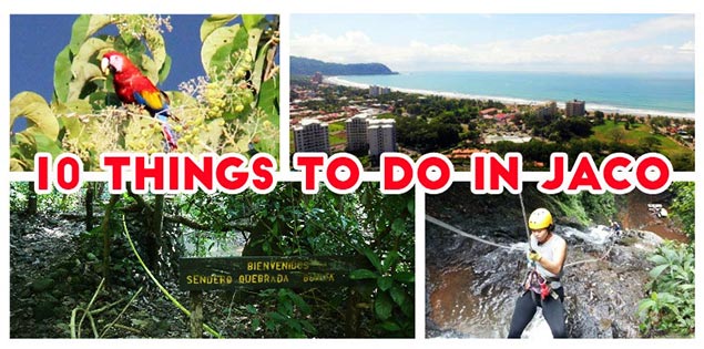 Awesome Things to Do in Jaco: Adventure, Nature, Nightlife