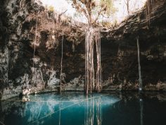 The Best Cenotes Near Merida: The Santa Barbara Cenotes