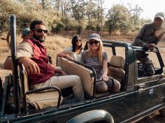 10 Things to Know Before Taking a Bandhavgarh National Park Safari