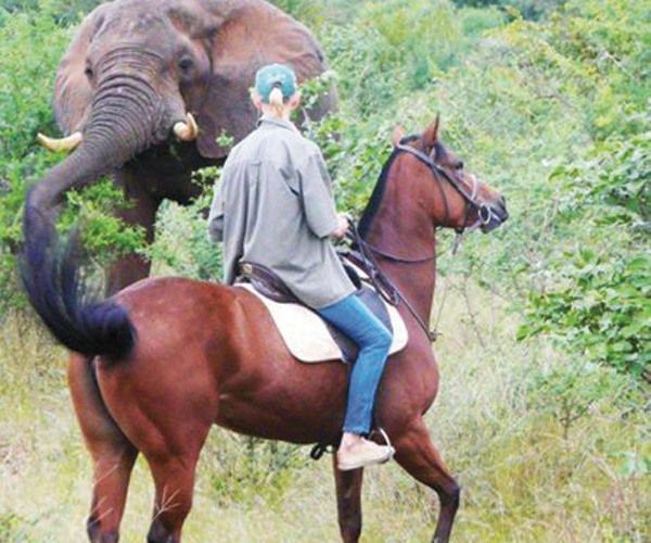 5 reasons to do a horseback safari in Africa