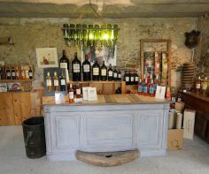 Vineyards in Var: a tour of Domaine de l’Olivette