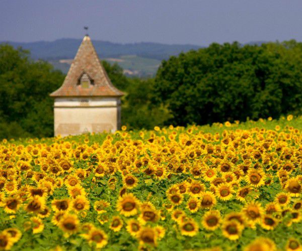 Short stay: Domaine de Perches, Gaillac, France