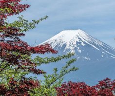 Hiking the Nakasendo Trail and staying at a Japanese ryokan