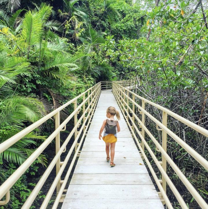 5 things to know about Manuel Antonio Park Costa Rica