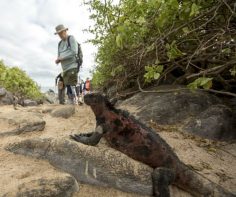 How to travel responsibly to the Galapagos Islands