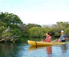 Top 5 things to do during your honeymoon in Galapagos