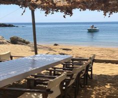 5 reasons to choose Skiathos for your next Greek adventure