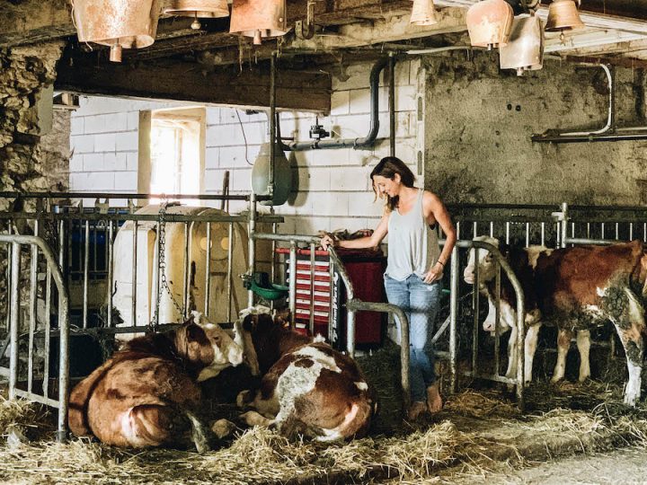 A Fromage Road Trip Through Eastern France