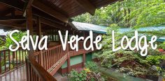 Selva Verde Lodge: Rainforest Ecolodge in Sarapiqui