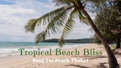 Tropical Beach Bliss – Bang Tao Beach, Phuket