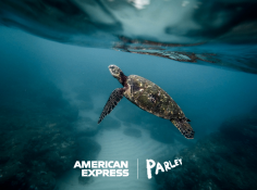 AmEx Goes Green on the Redesigned American Express Green Card